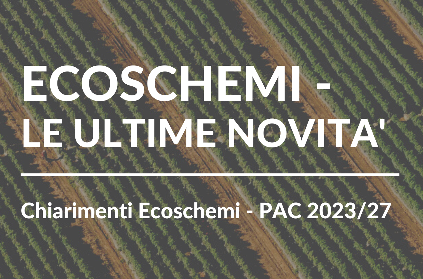 Ecoschemi Pac 2023