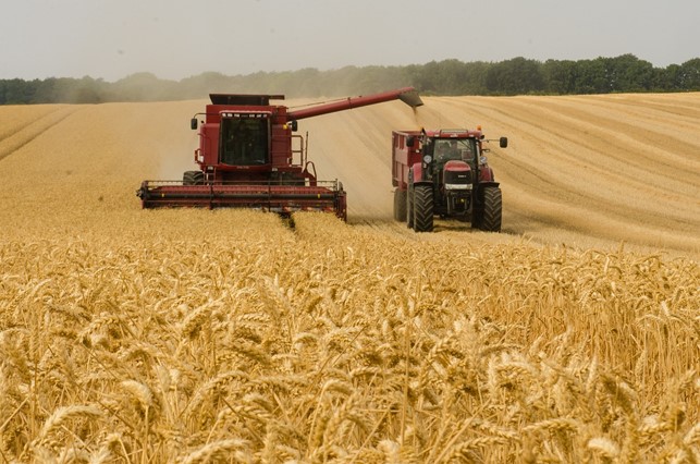 ismea fondo innovazione agricoltura