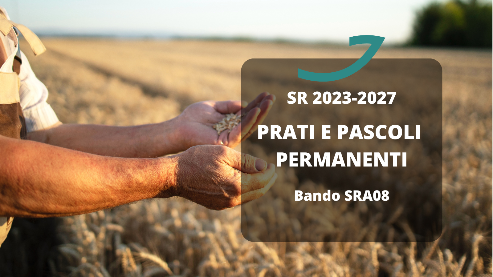 prati e pascoli permanenti