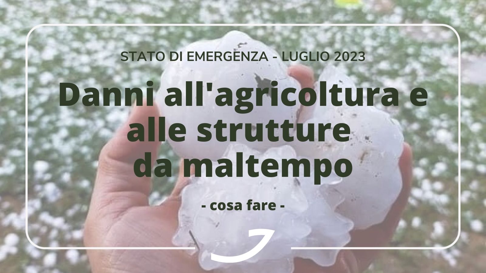 danni da maltempo agricoltura e strutture