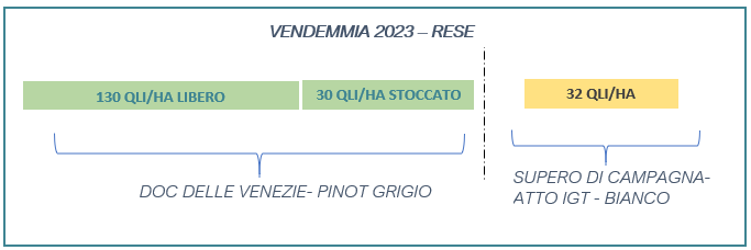 rese vendemmia 2023